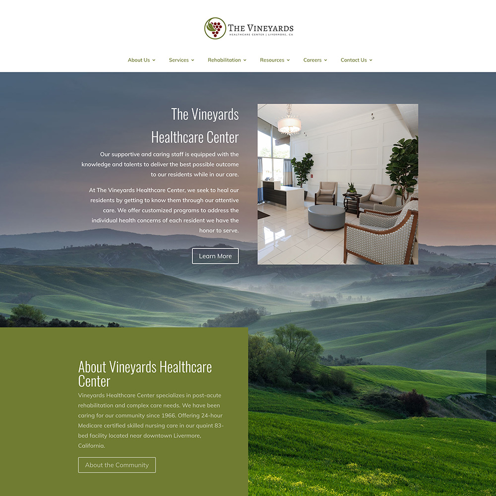 yolocare-portfolio-2020-1000x1000-vineyards The Vineyards website screenshot